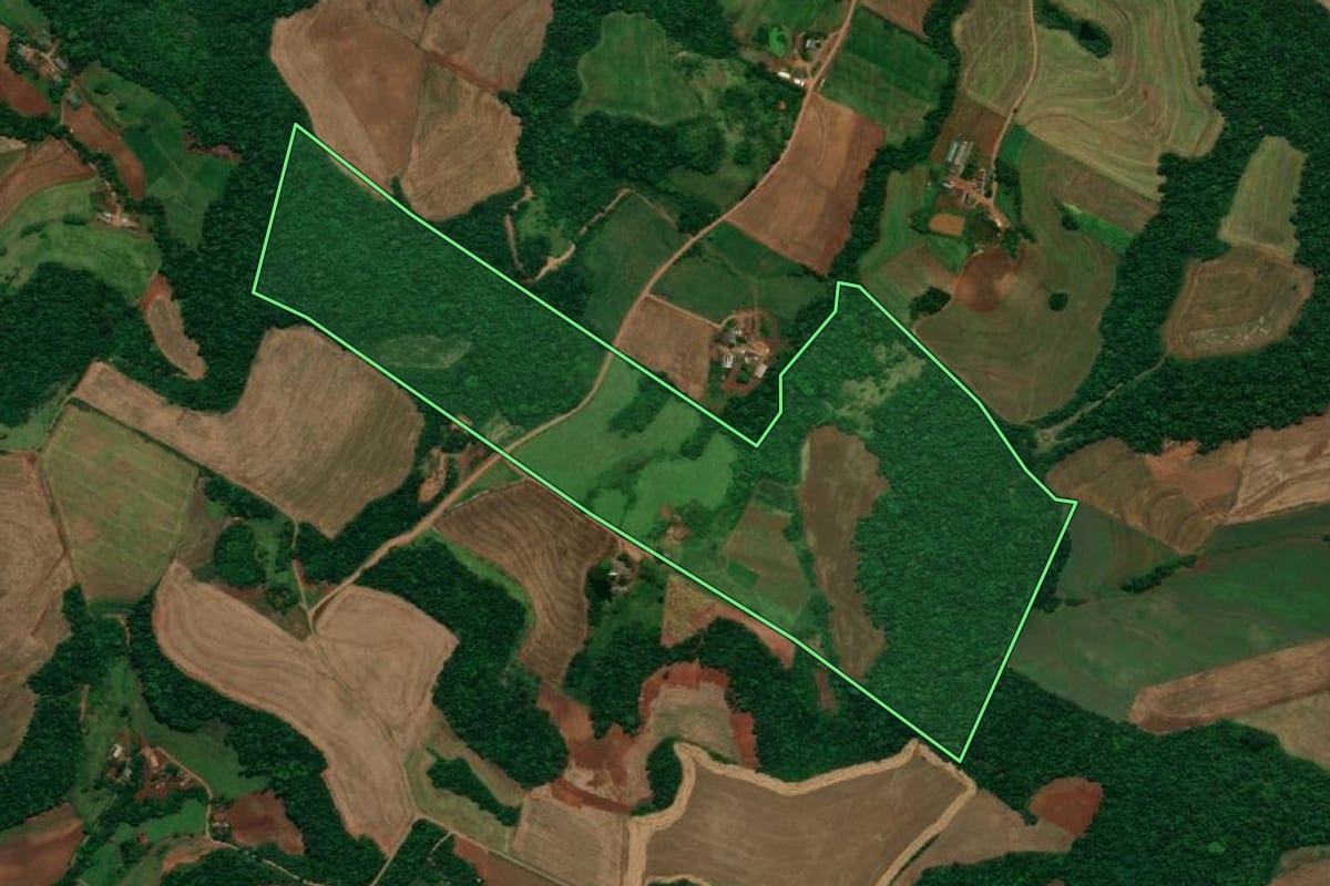 Imagem de satélite do imóvel rural em Planalto (PR), com o contorno declarado no CAR desenhado por cima.