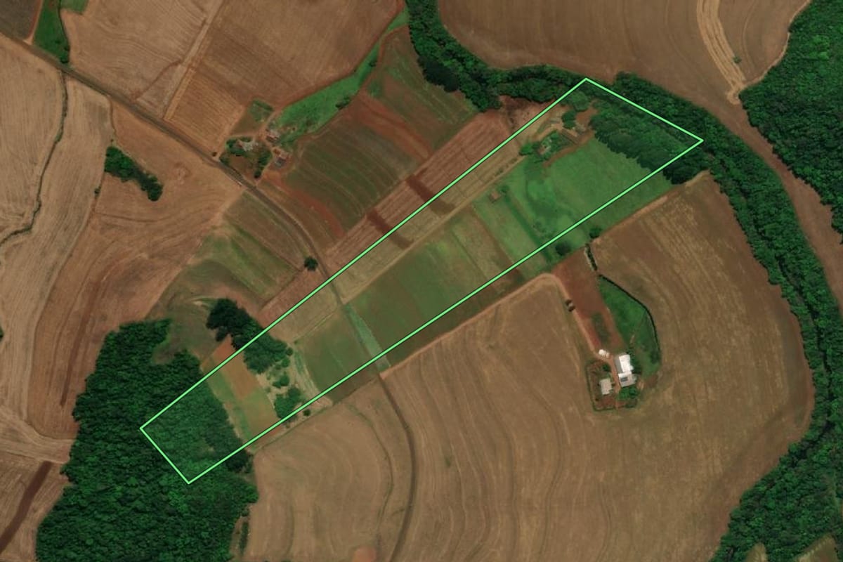 Imagem de satélite do imóvel rural em Planalto (PR), com o contorno declarado no CAR desenhado por cima.