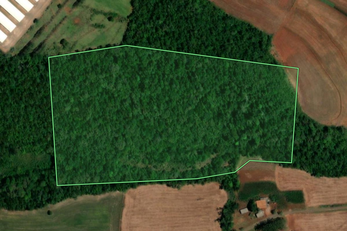 Imagem de satélite do imóvel rural em Planalto (PR), com o contorno declarado no CAR desenhado por cima.