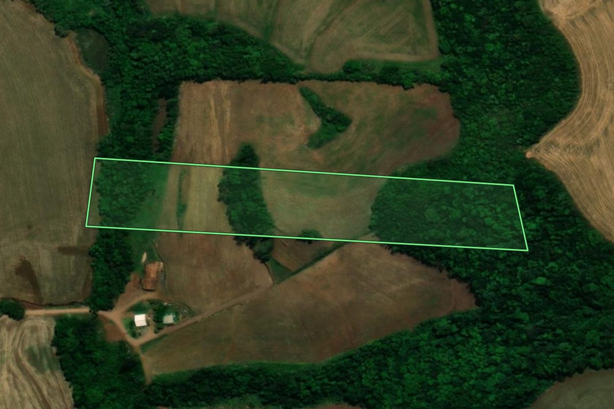 Imagem de satélite do imóvel rural em Planalto (PR), com o contorno declarado no CAR desenhado por cima.