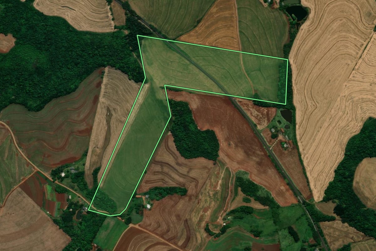 Imagem de satélite do imóvel rural em Planalto (PR), com o contorno declarado no CAR desenhado por cima.