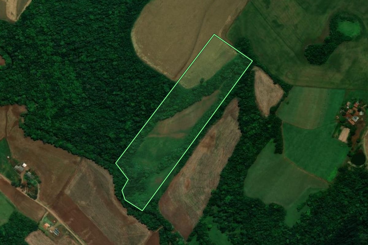 Imagem de satélite do imóvel rural em Planalto (PR), com o contorno declarado no CAR desenhado por cima.