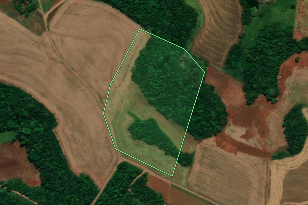 Imagem de satélite do imóvel rural em Planalto (PR), com o contorno declarado no CAR desenhado por cima.