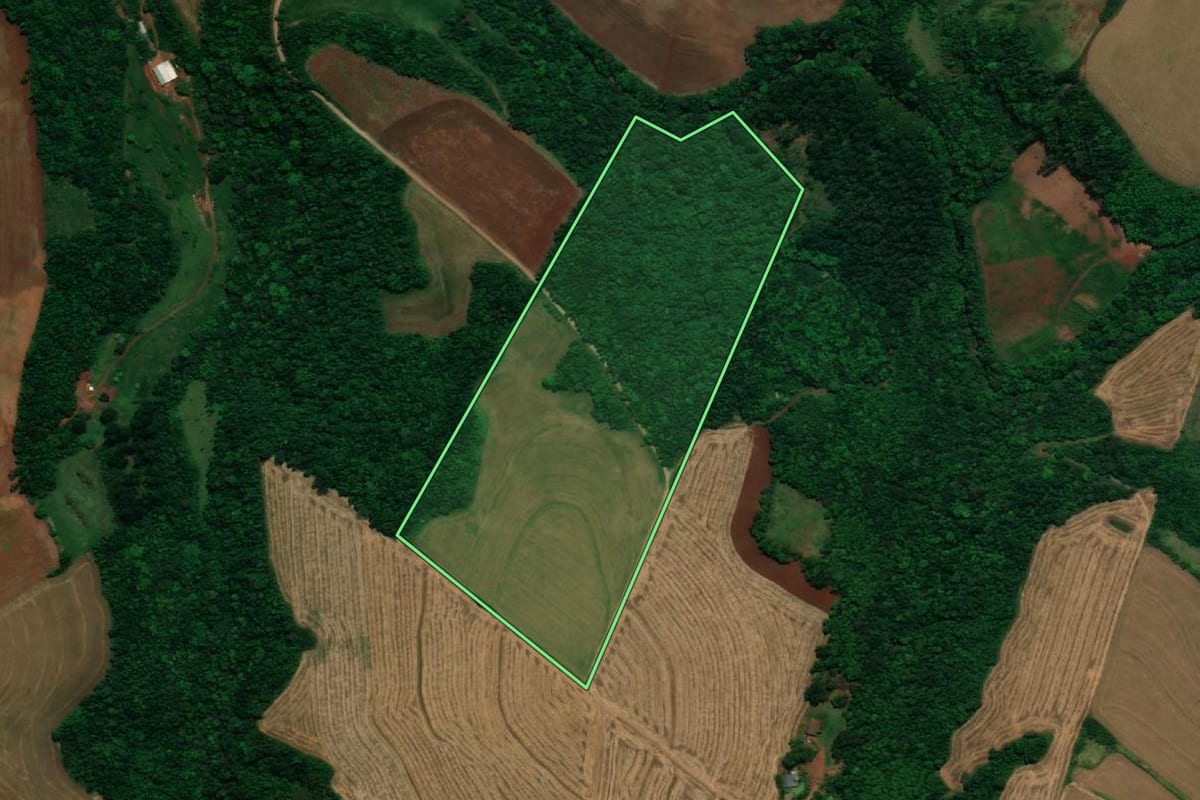 Imagem de satélite do imóvel rural em Planalto (PR), com o contorno declarado no CAR desenhado por cima.