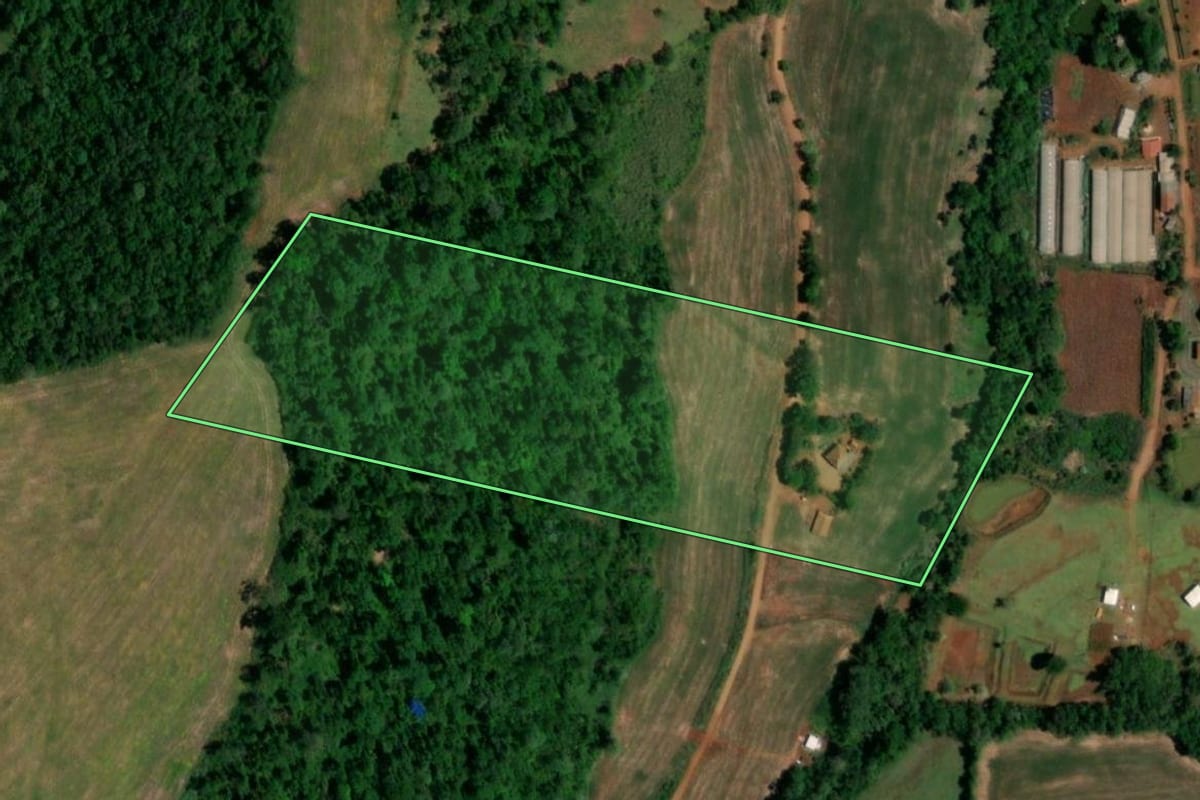 Imagem de satélite do imóvel rural em Planalto (PR), com o contorno declarado no CAR desenhado por cima.