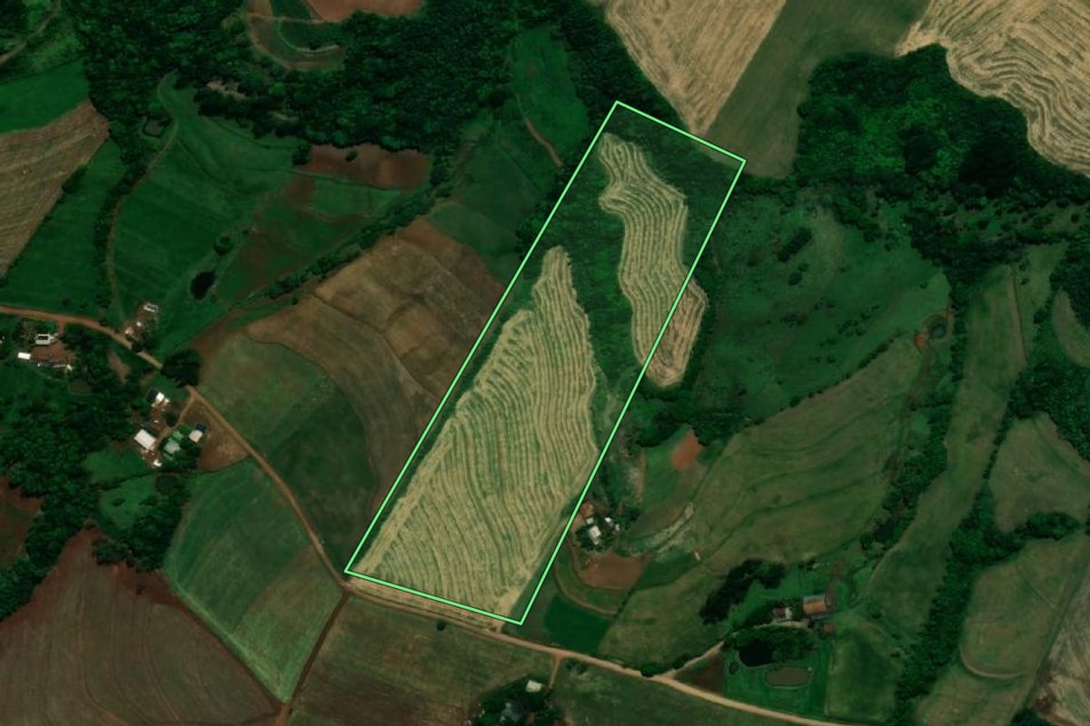 Imagem de satélite do imóvel rural em Planalto (PR), com o contorno declarado no CAR desenhado por cima.