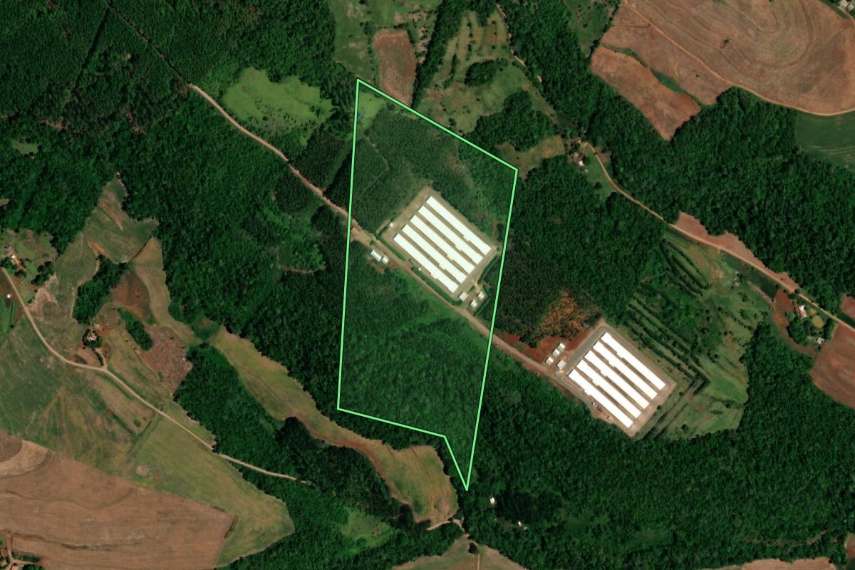 Imagem de satélite do imóvel rural em Planalto (PR), com o contorno declarado no CAR desenhado por cima.