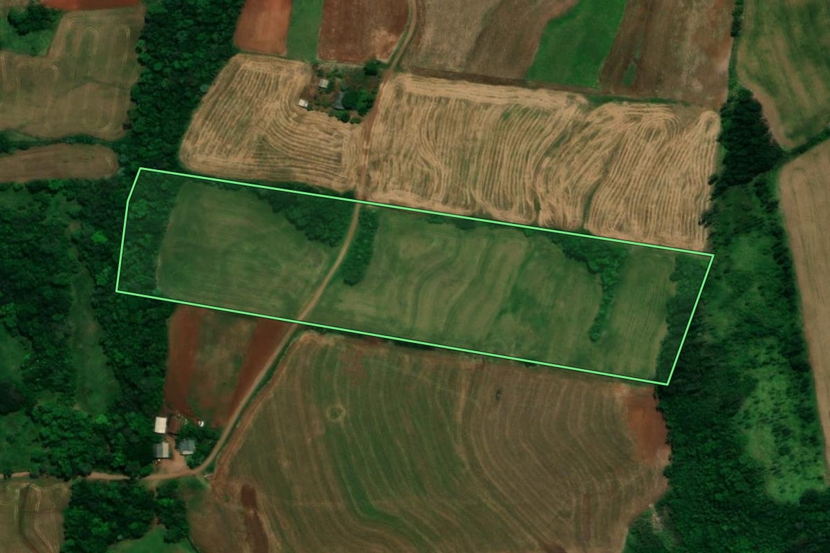 Imagem de satélite do imóvel rural em Planalto (PR), com o contorno declarado no CAR desenhado por cima.