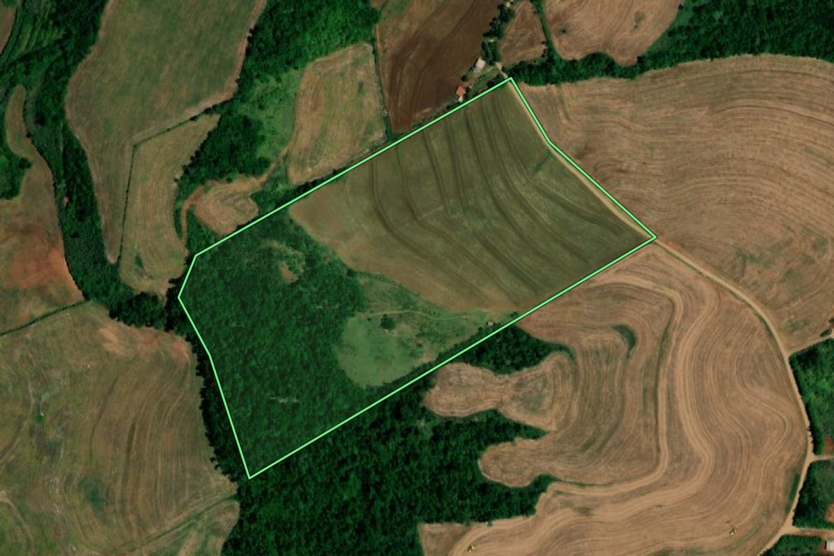 Imagem de satélite do imóvel rural em Planalto (PR), com o contorno declarado no CAR desenhado por cima.