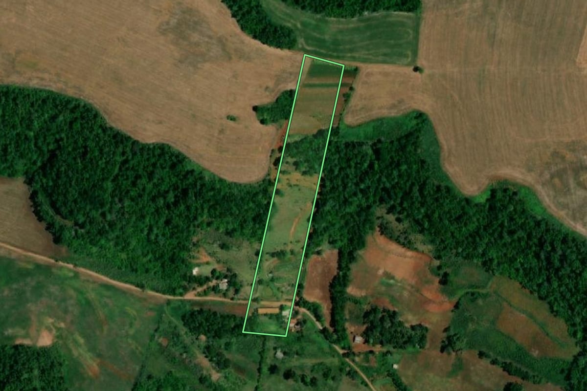 Imagem de satélite do imóvel rural em Planalto (PR), com o contorno declarado no CAR desenhado por cima.
