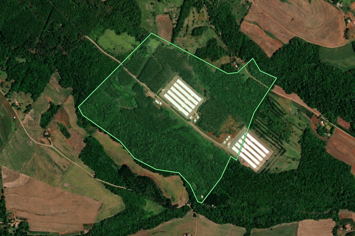 Imagem de satélite do imóvel rural em Planalto (PR), com o contorno declarado no CAR desenhado por cima.