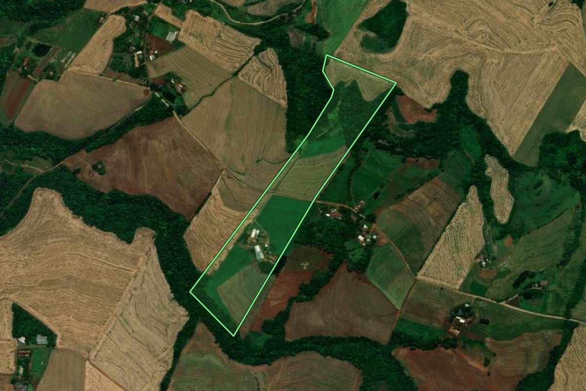 Imagem de satélite do imóvel rural em Planalto (PR), com o contorno declarado no CAR desenhado por cima.