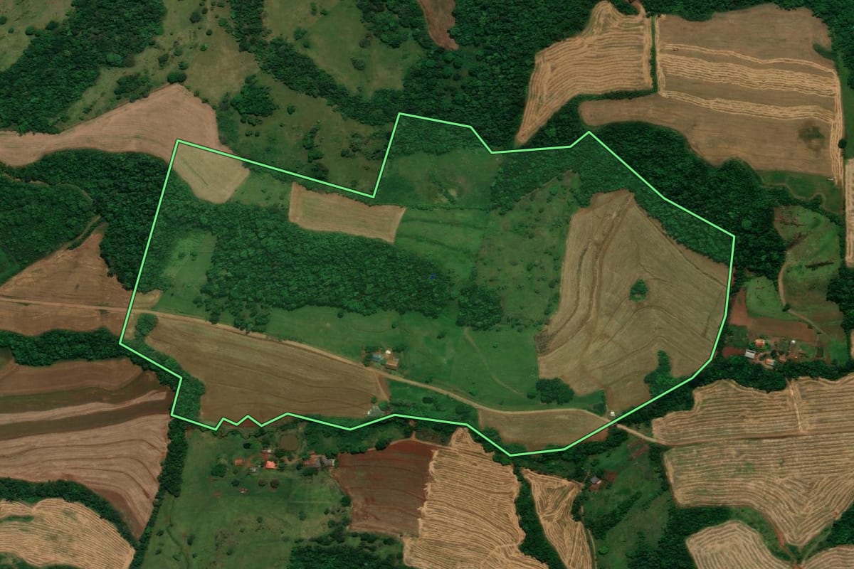 Imagem de satélite do imóvel rural em Planalto (PR), com o contorno declarado no CAR desenhado por cima.