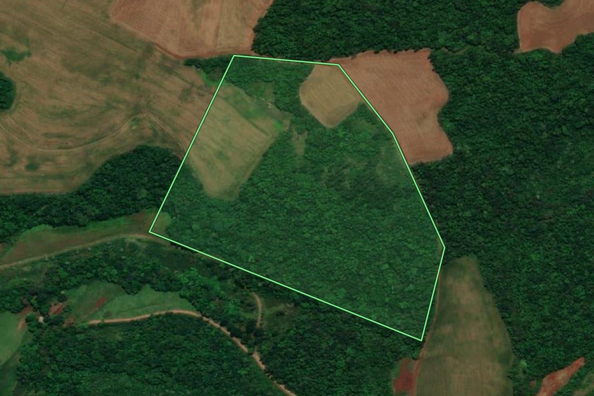 Imagem de satélite do imóvel rural em Planalto (PR), com o contorno declarado no CAR desenhado por cima.
