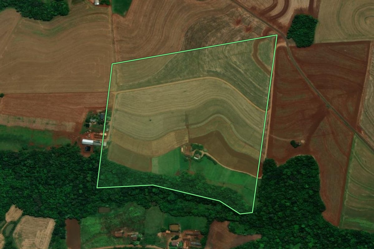 Imagem de satélite do imóvel rural em Planalto (PR), com o contorno declarado no CAR desenhado por cima.