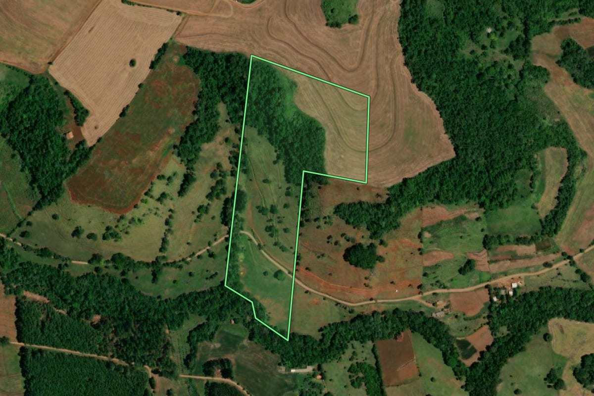 Imagem de satélite do imóvel rural em Planalto (PR), com o contorno declarado no CAR desenhado por cima.