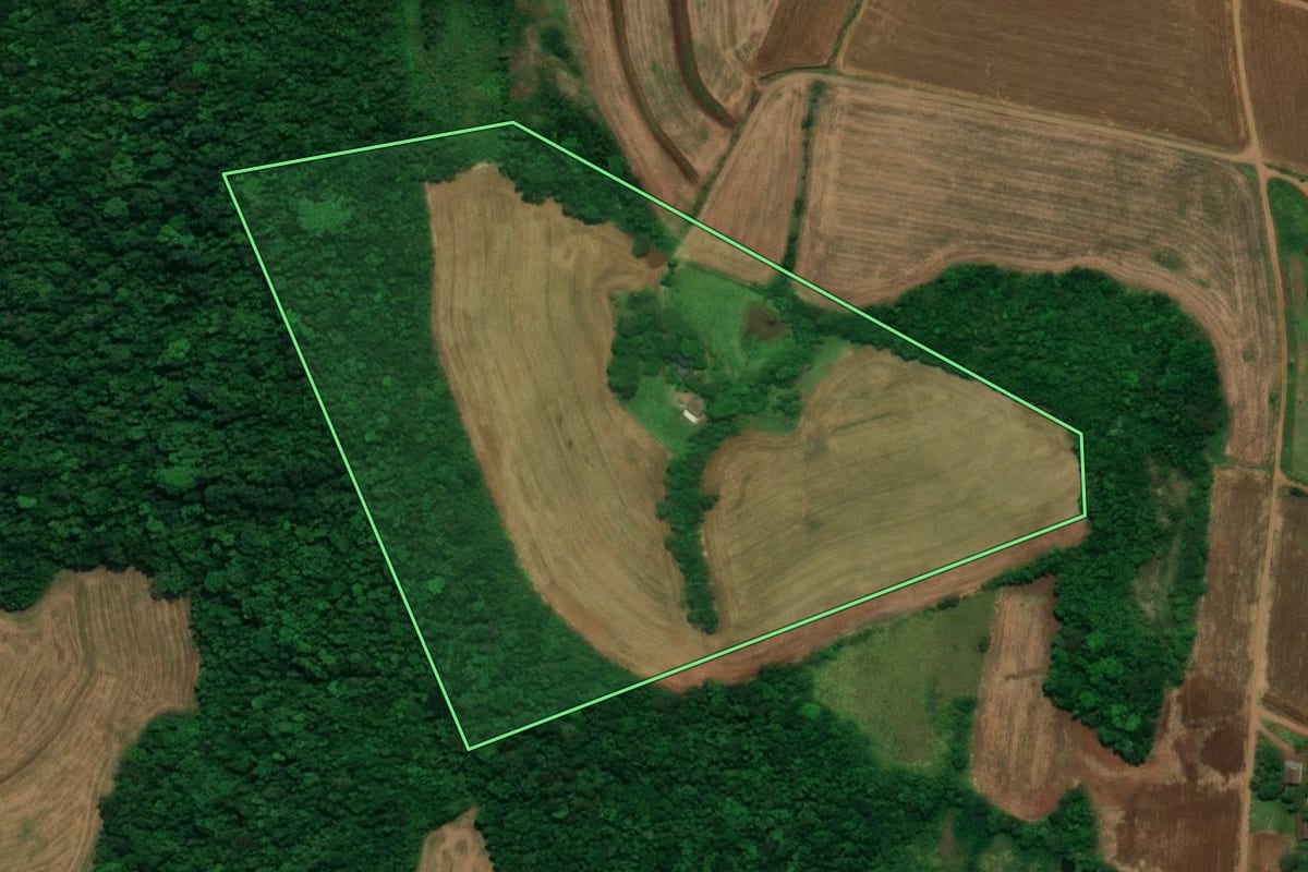 Imagem de satélite do imóvel rural em Planalto (PR), com o contorno declarado no CAR desenhado por cima.