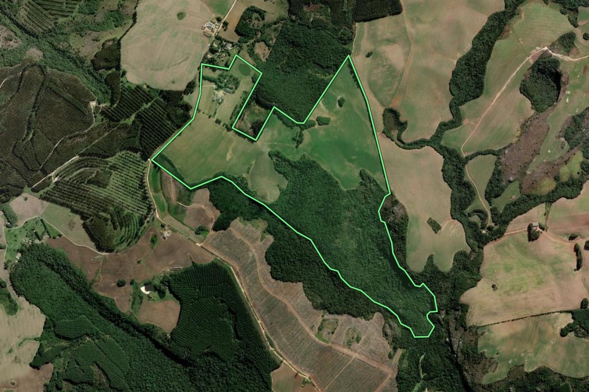 Imagem de satélite do imóvel rural em Ponta Grossa (PR), com o contorno declarado no CAR desenhado por cima.