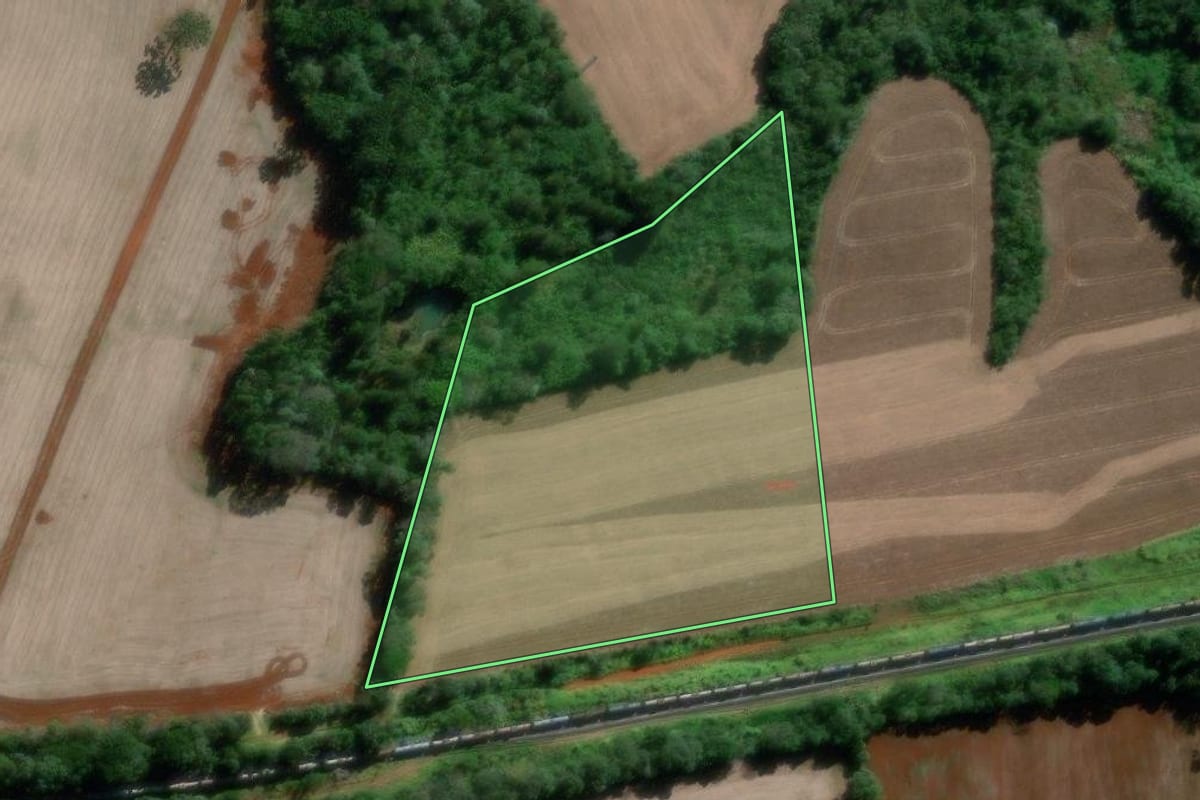 Imagem de satélite do imóvel rural em Ponta Grossa (PR), com o contorno declarado no CAR desenhado por cima.