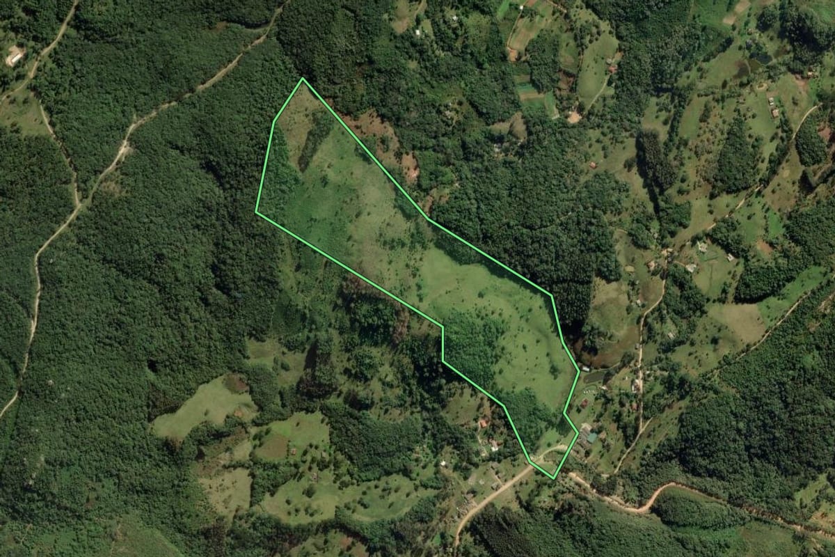 Imagem de satélite do imóvel rural em Ponta Grossa (PR), com o contorno declarado no CAR desenhado por cima.