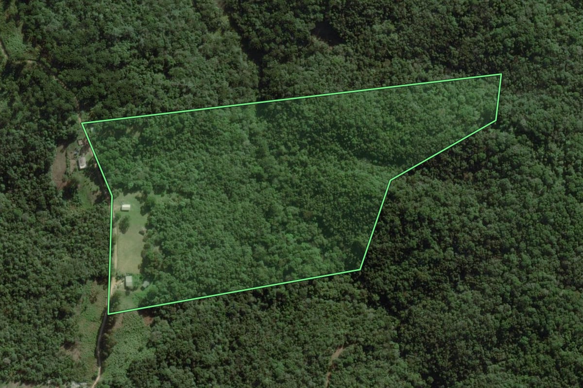 Imagem de satélite do imóvel rural em Ponta Grossa (PR), com o contorno declarado no CAR desenhado por cima.