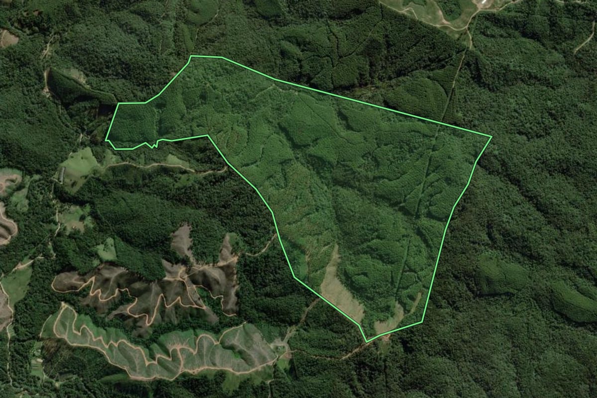 Imagem de satélite do imóvel rural em Ponta Grossa (PR), com o contorno declarado no CAR desenhado por cima.