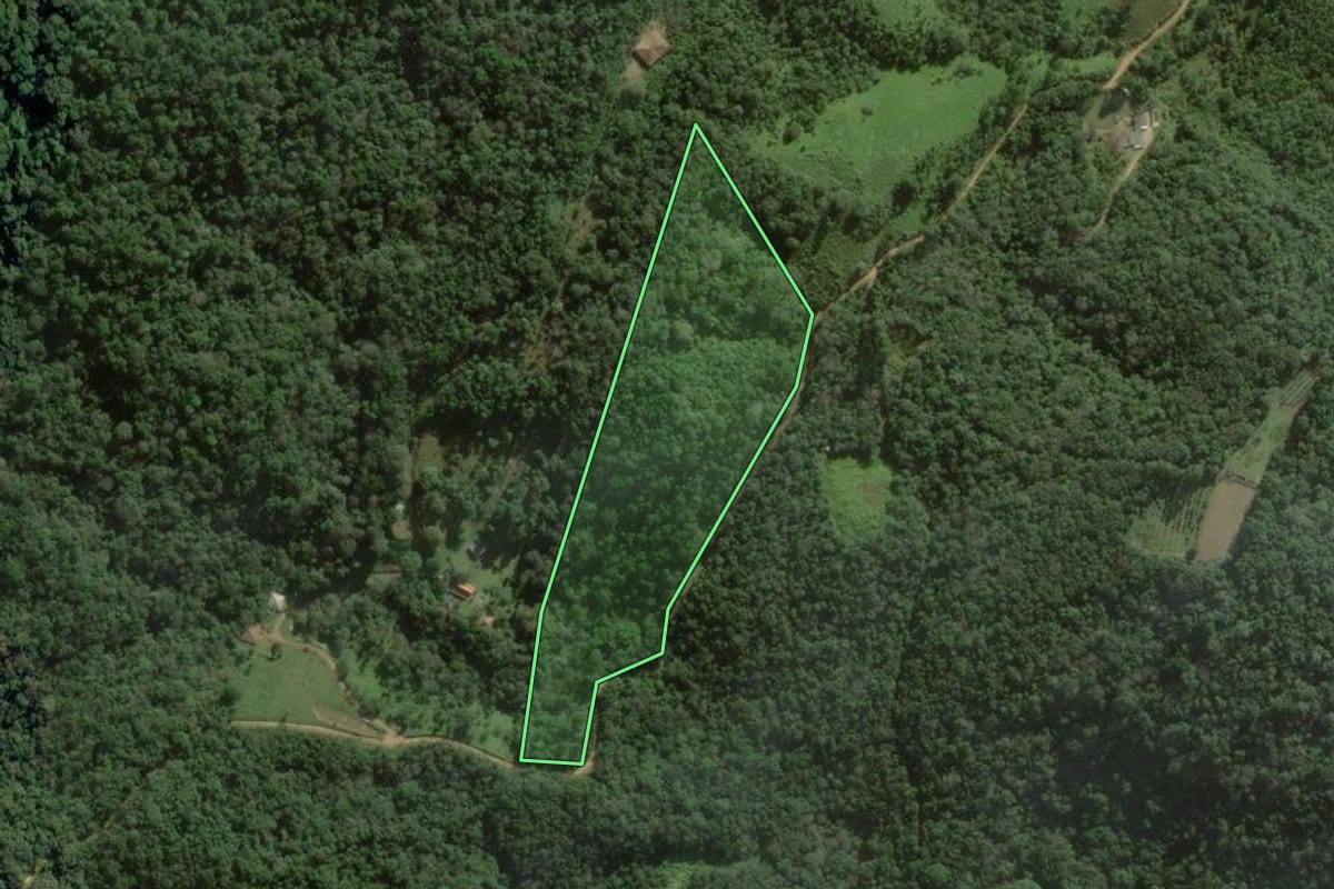 Imagem de satélite do imóvel rural em Ponta Grossa (PR), com o contorno declarado no CAR desenhado por cima.