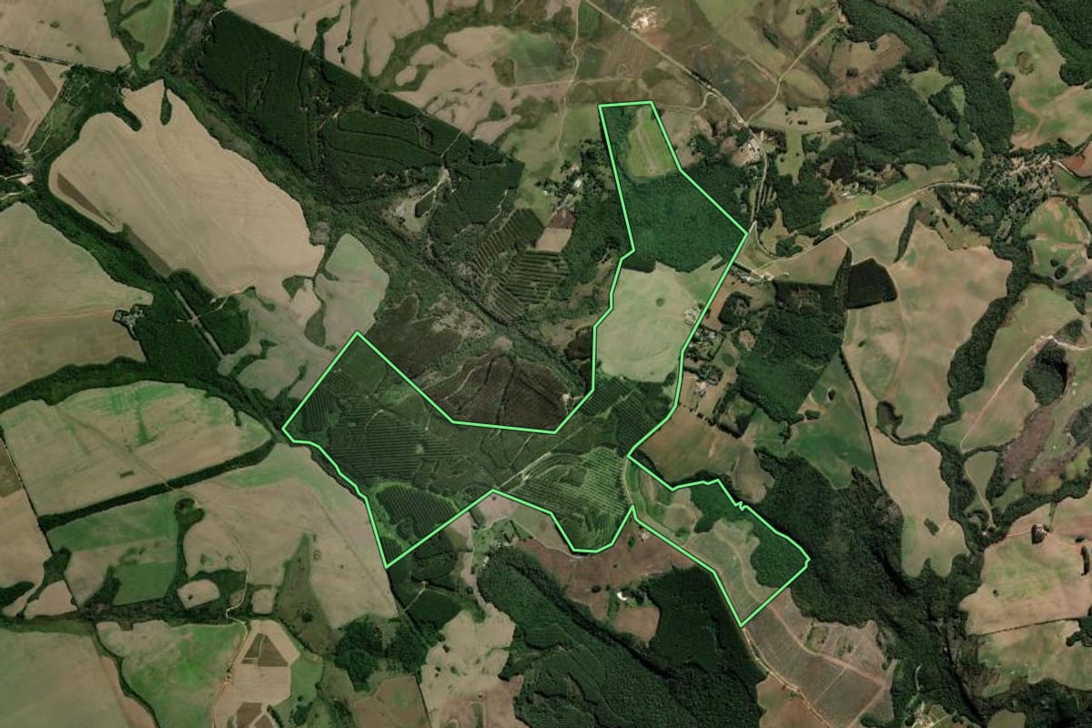 Imagem de satélite do imóvel rural em Ponta Grossa (PR), com o contorno declarado no CAR desenhado por cima.