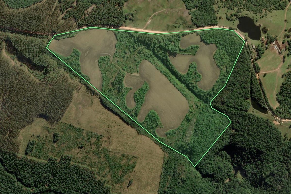 Imagem de satélite do imóvel rural em Ponta Grossa (PR), com o contorno declarado no CAR desenhado por cima.