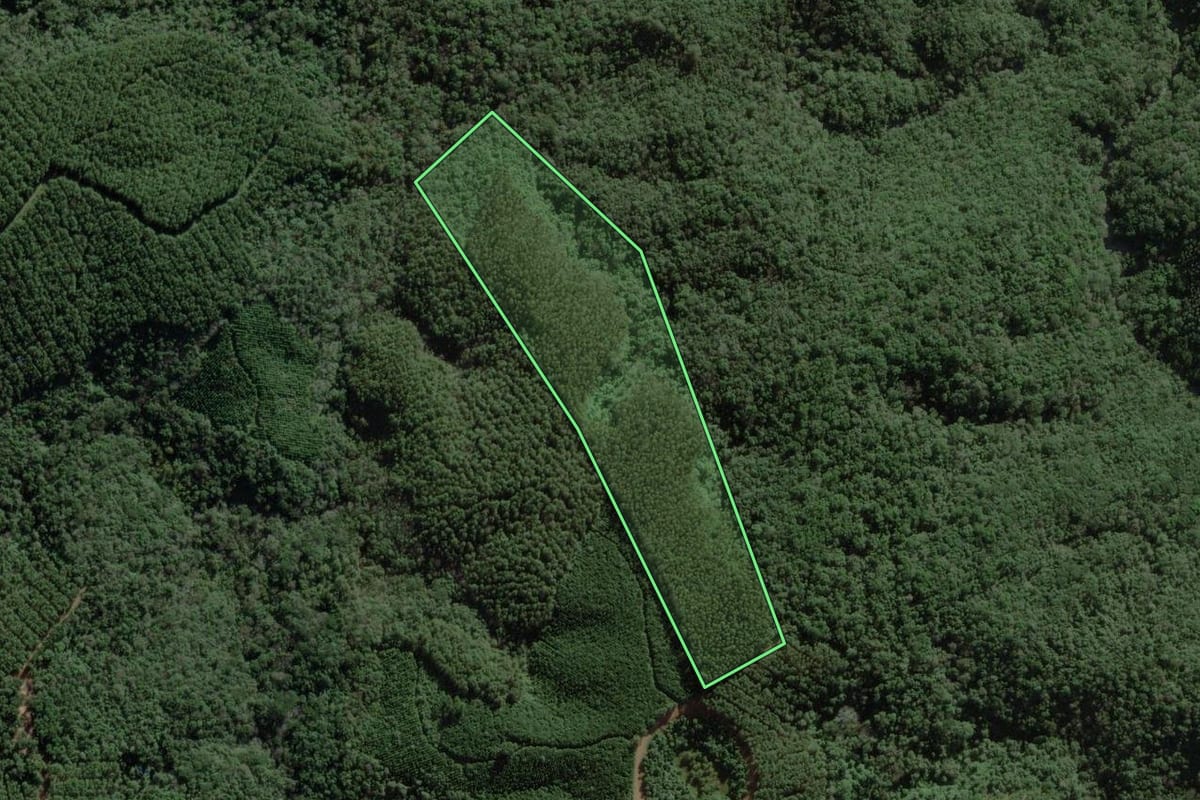 Imagem de satélite do imóvel rural em Ponta Grossa (PR), com o contorno declarado no CAR desenhado por cima.