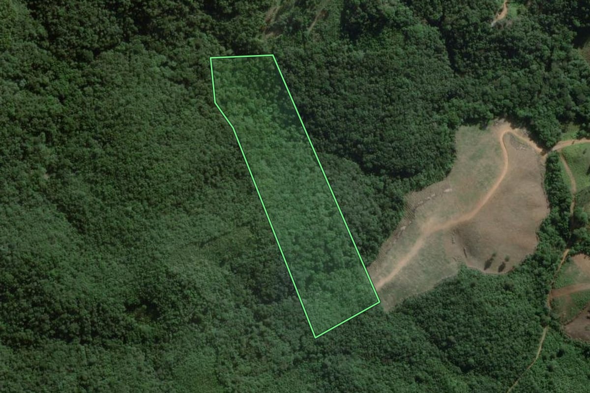 Imagem de satélite do imóvel rural em Ponta Grossa (PR), com o contorno declarado no CAR desenhado por cima.