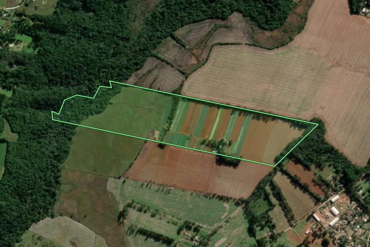 Imagem de satélite do imóvel rural em Ponta Grossa (PR), com o contorno declarado no CAR desenhado por cima.
