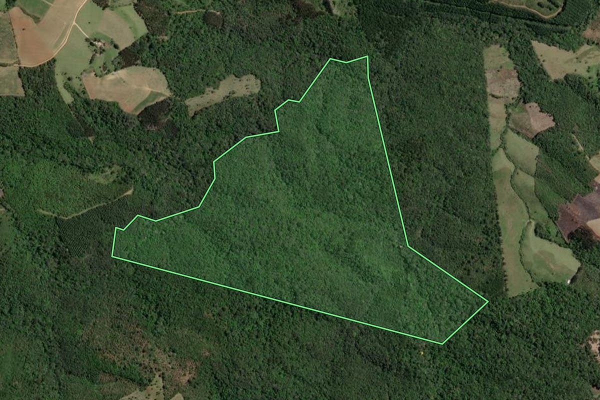 Imagem de satélite do imóvel rural em Ponta Grossa (PR), com o contorno declarado no CAR desenhado por cima.
