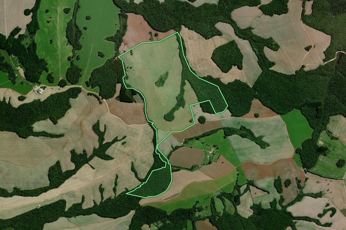 Imagem de satélite do imóvel rural em Ponta Grossa (PR), com o contorno declarado no CAR desenhado por cima.