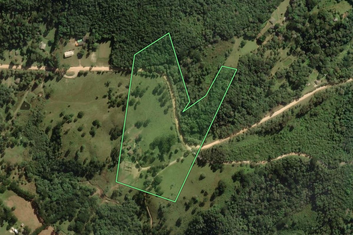 Imagem de satélite do imóvel rural em Ponta Grossa (PR), com o contorno declarado no CAR desenhado por cima.