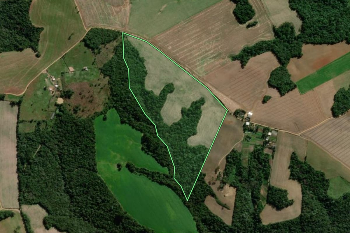 Imagem de satélite do imóvel rural em Ponta Grossa (PR), com o contorno declarado no CAR desenhado por cima.