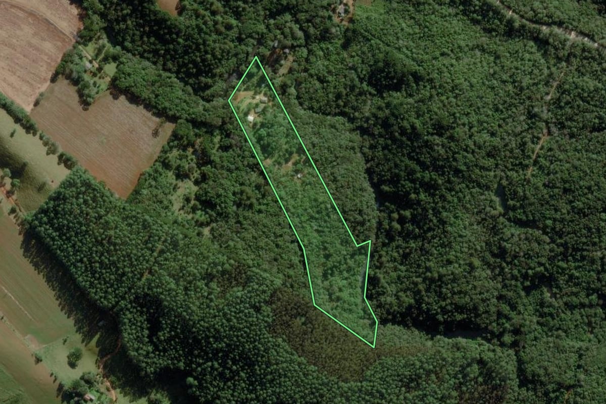 Imagem de satélite do imóvel rural em Ponta Grossa (PR), com o contorno declarado no CAR desenhado por cima.