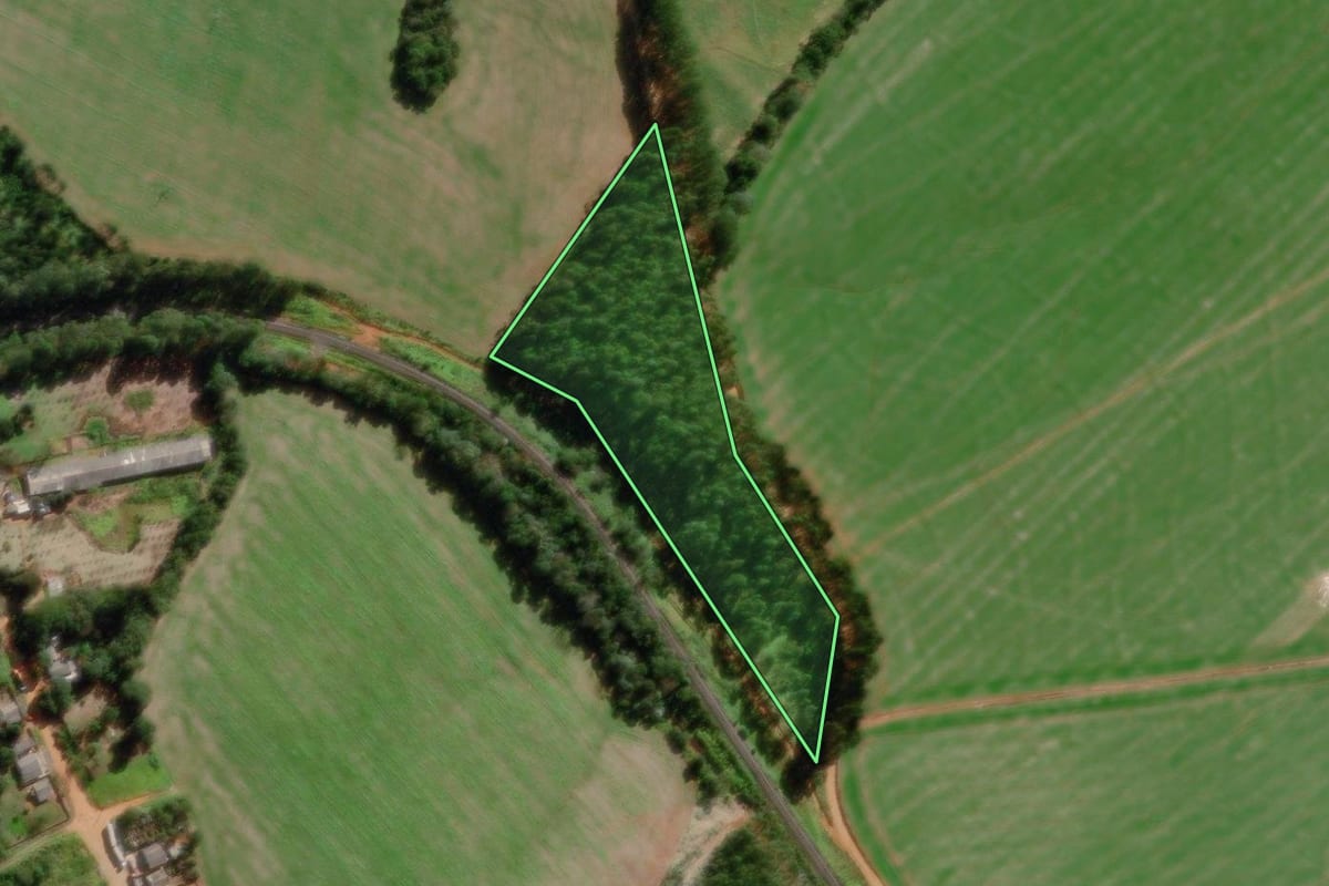 Imagem de satélite do imóvel rural em Ponta Grossa (PR), com o contorno declarado no CAR desenhado por cima.