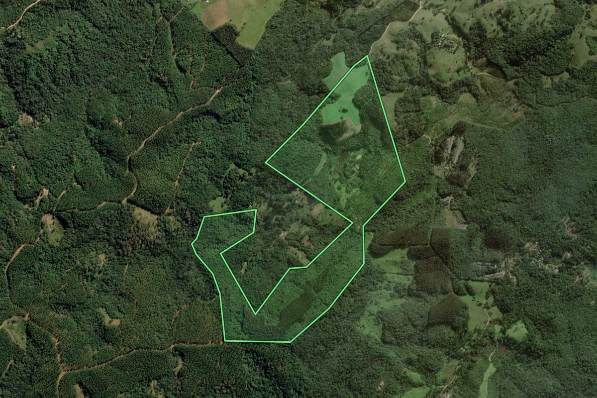 Imagem de satélite do imóvel rural em Ponta Grossa (PR), com o contorno declarado no CAR desenhado por cima.