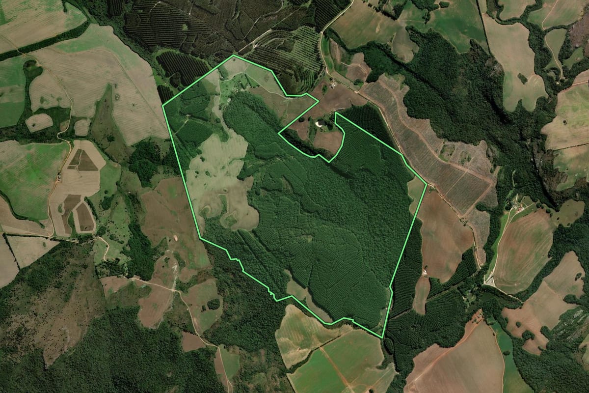 Imagem de satélite do imóvel rural em Ponta Grossa (PR), com o contorno declarado no CAR desenhado por cima.
