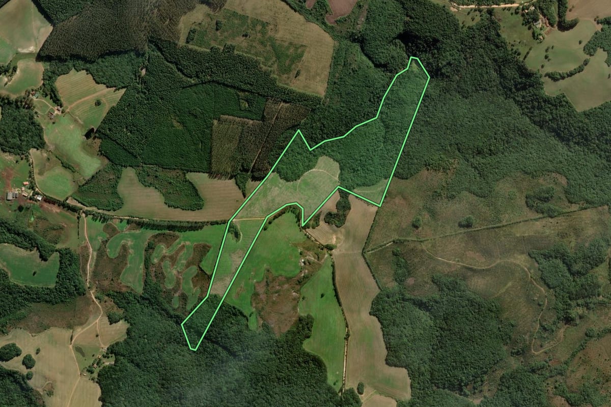 Imagem de satélite do imóvel rural em Ponta Grossa (PR), com o contorno declarado no CAR desenhado por cima.