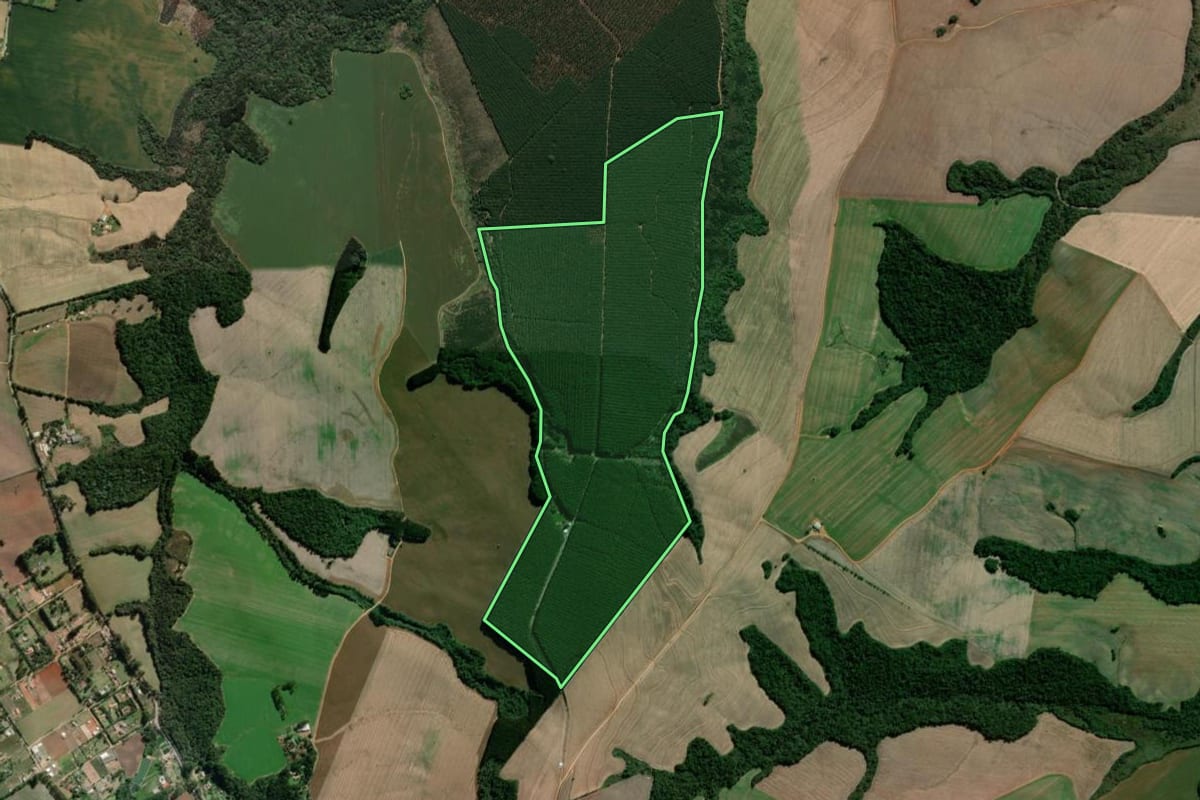 Imagem de satélite do imóvel rural em Ponta Grossa (PR), com o contorno declarado no CAR desenhado por cima.