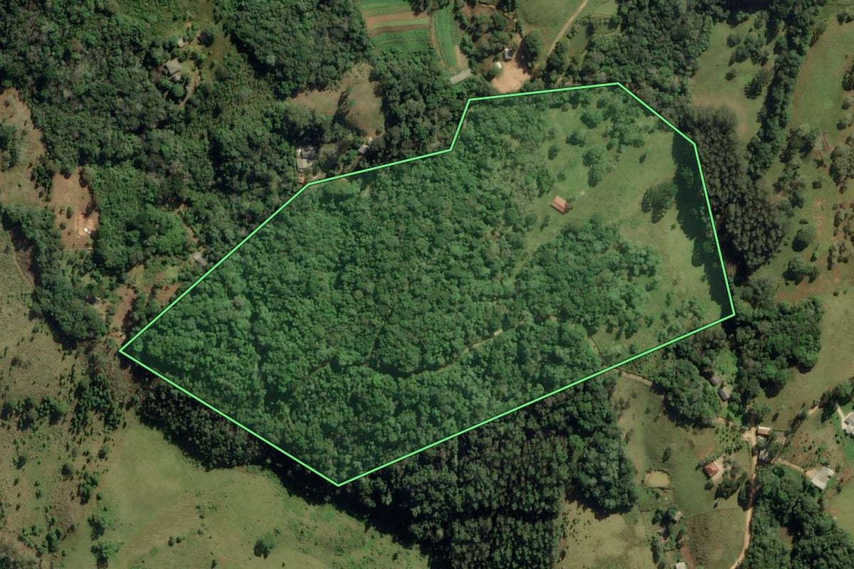 Imagem de satélite do imóvel rural em Ponta Grossa (PR), com o contorno declarado no CAR desenhado por cima.
