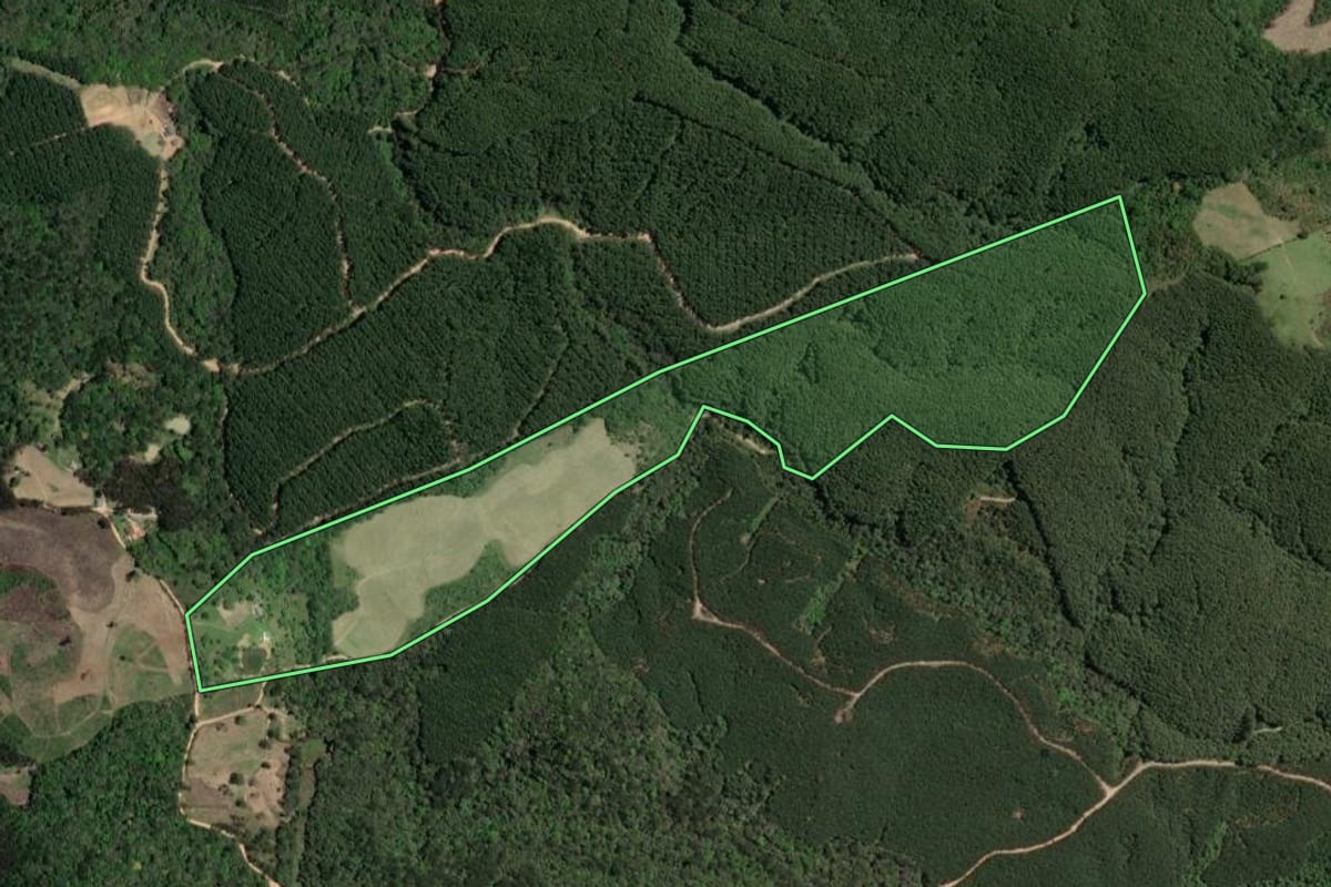 Imagem de satélite do imóvel rural em Ponta Grossa (PR), com o contorno declarado no CAR desenhado por cima.