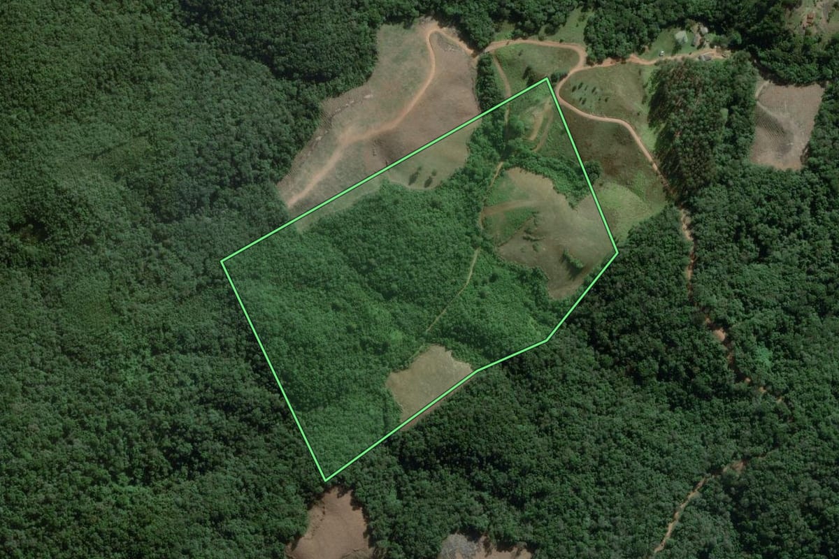 Imagem de satélite do imóvel rural em Ponta Grossa (PR), com o contorno declarado no CAR desenhado por cima.
