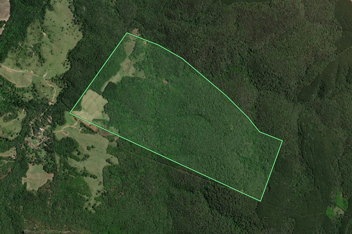 Imagem de satélite do imóvel rural em Ponta Grossa (PR), com o contorno declarado no CAR desenhado por cima.