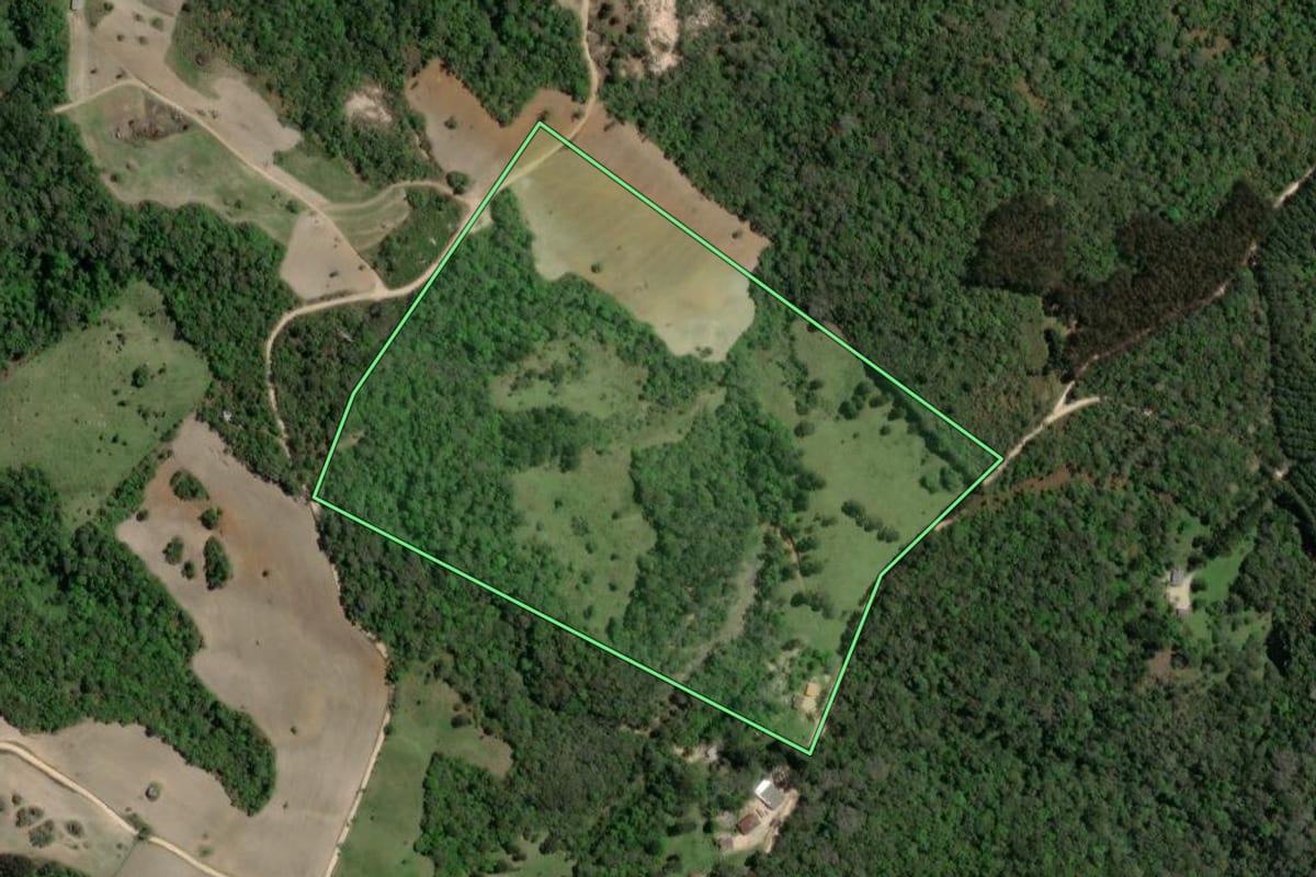 Imagem de satélite do imóvel rural em Ponta Grossa (PR), com o contorno declarado no CAR desenhado por cima.