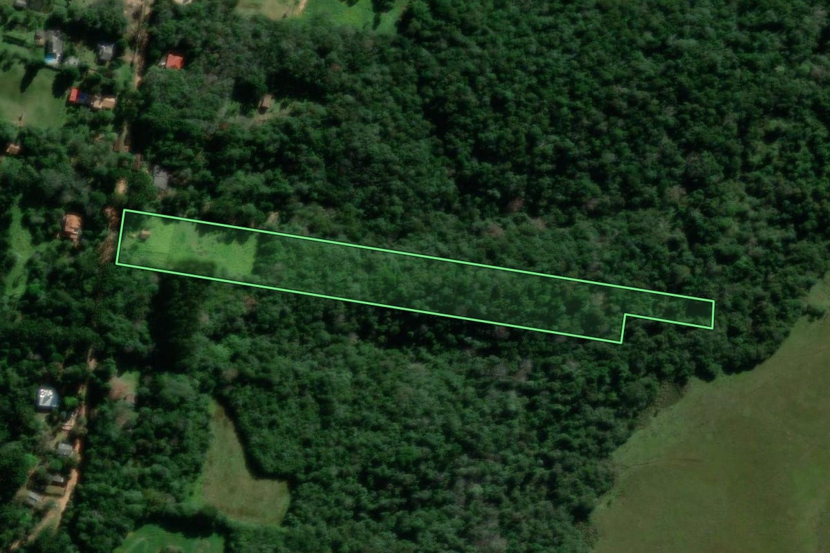 Imagem de satélite do imóvel rural em Ponta Grossa (PR), com o contorno declarado no CAR desenhado por cima.