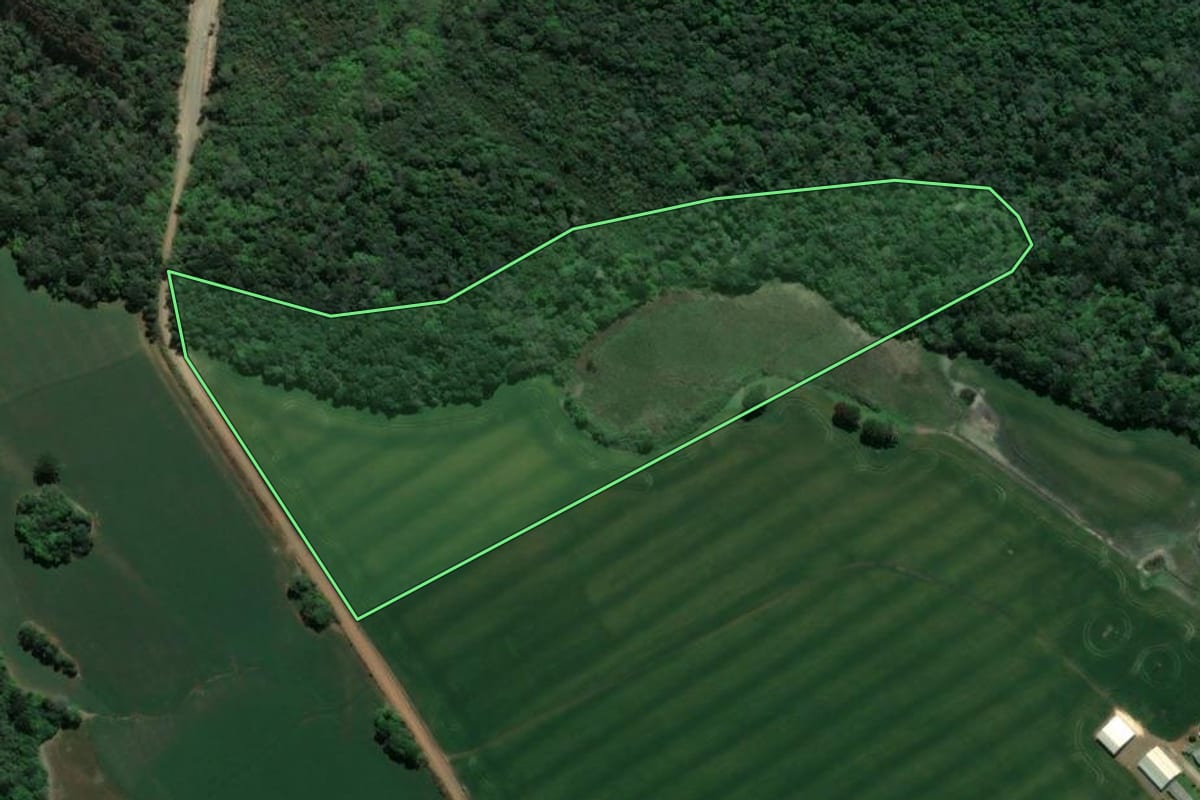 Imagem de satélite do imóvel rural em Ponta Grossa (PR), com o contorno declarado no CAR desenhado por cima.