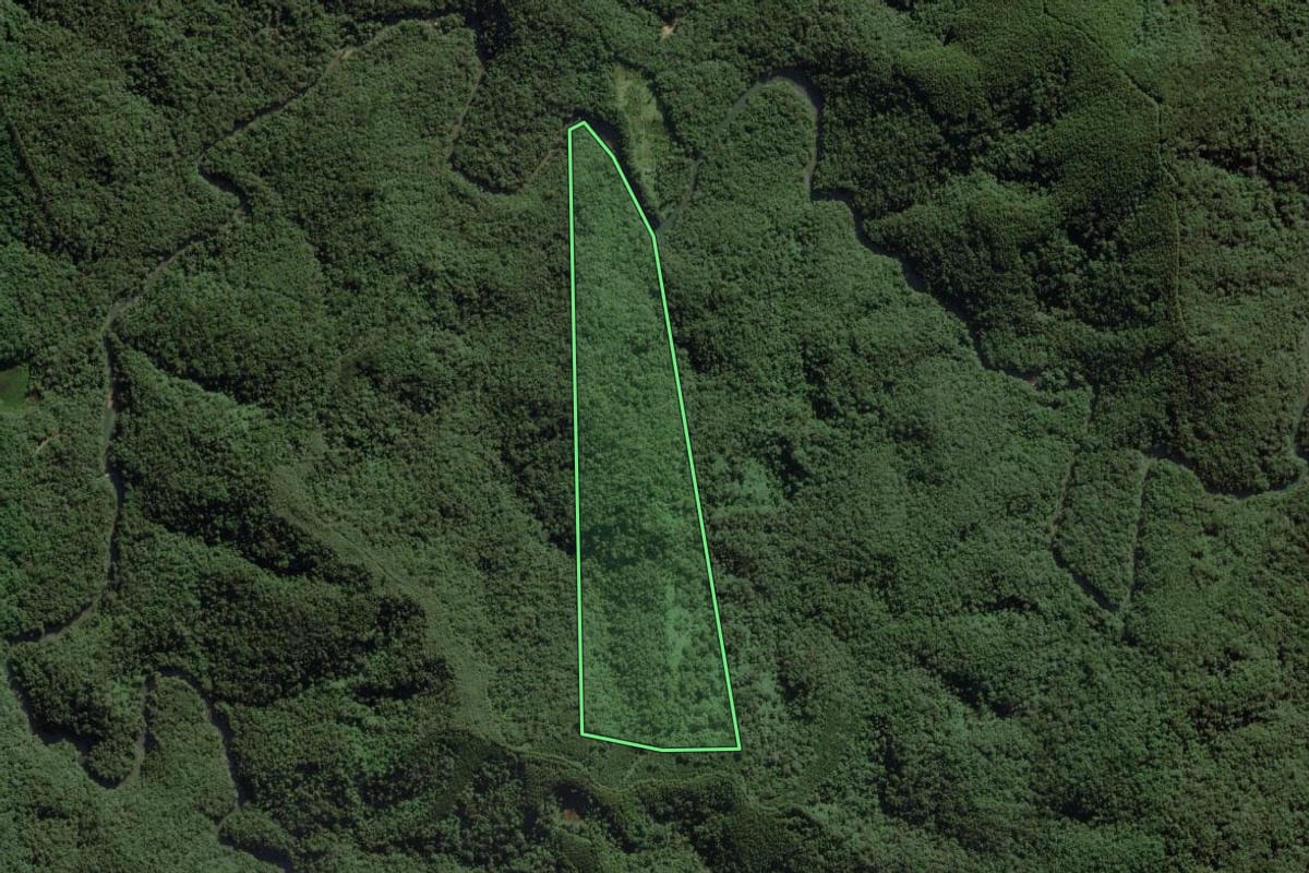 Imagem de satélite do imóvel rural em Ponta Grossa (PR), com o contorno declarado no CAR desenhado por cima.